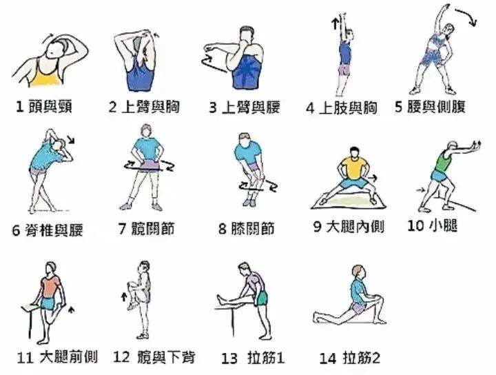 开云体育官方网入口-【比赛观看指南】专业解读运动员战术变化，提升观赛体验的简单介绍