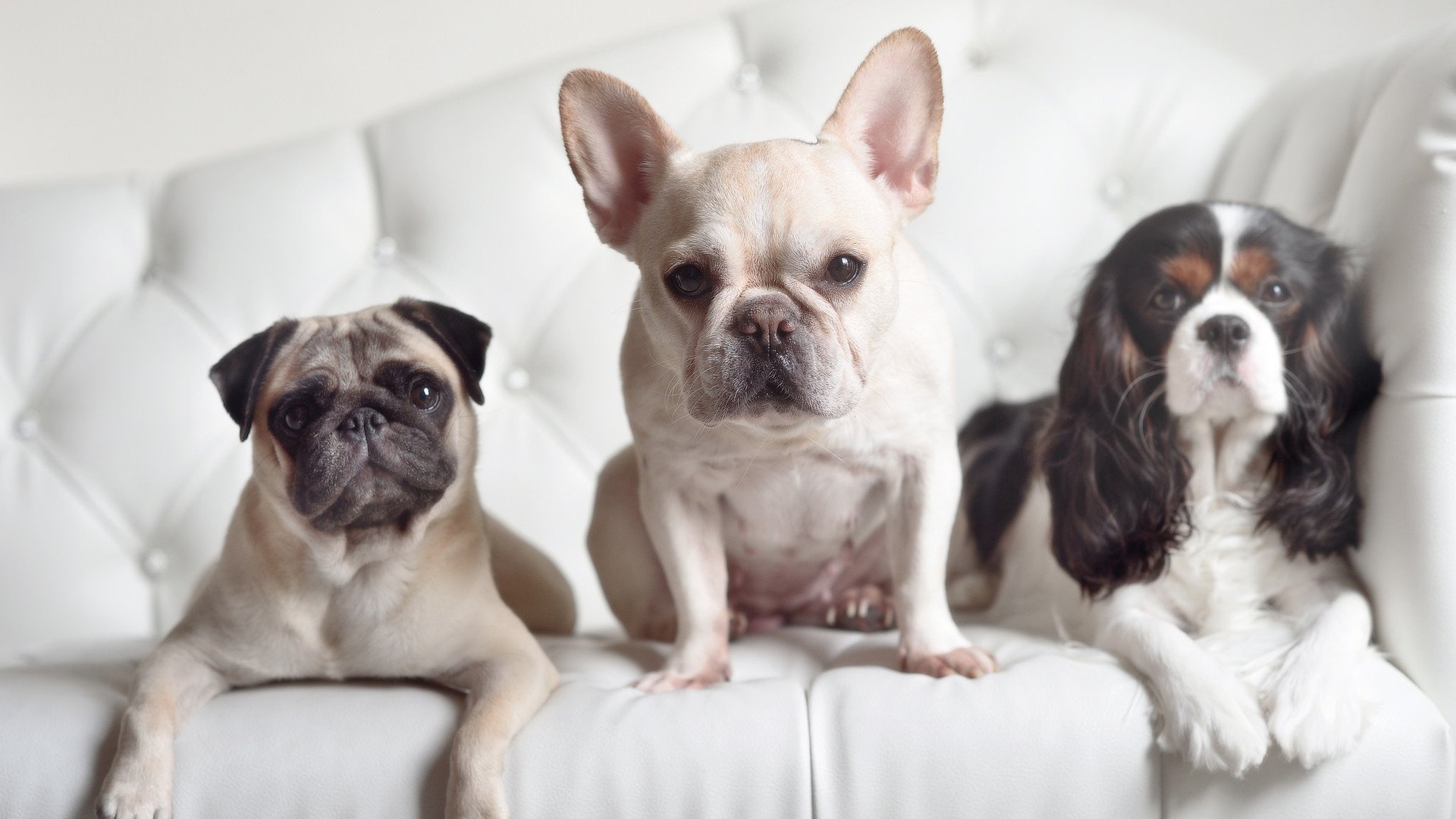 _野外探索与追逐:勇者的荒野旅行_,荒野探险之旅