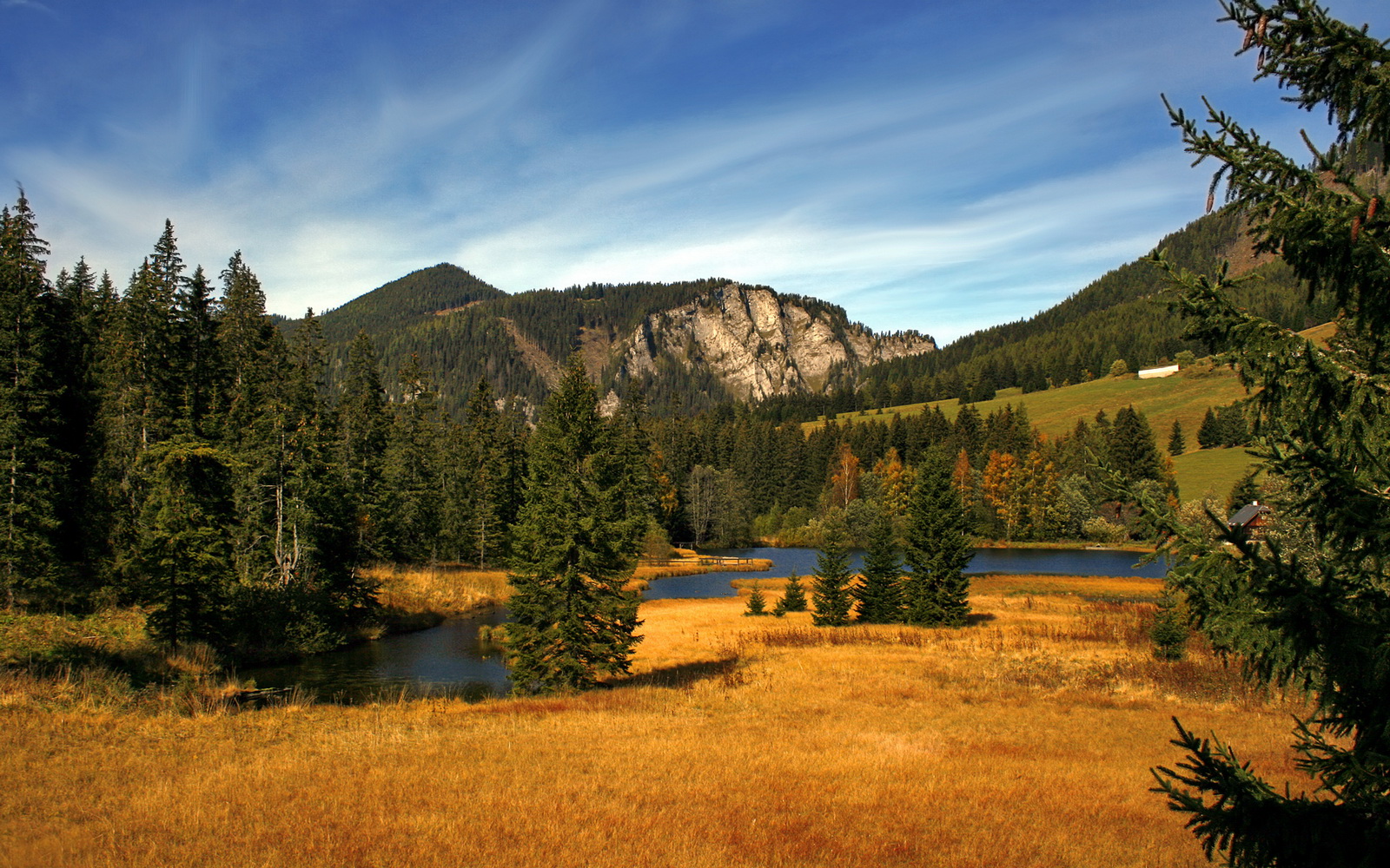 “篮球梦想家”青少年创新创业大赛在上海开赛,助推青训产业发展