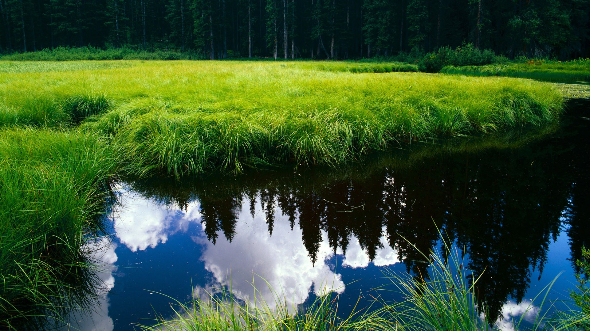 《电竞行业数字安全:如何防止外挂与博彩风险》,电竞网络解决方案