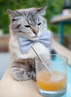 勇士老将入选《时代》最具影响力运动员名单,勇士 成员