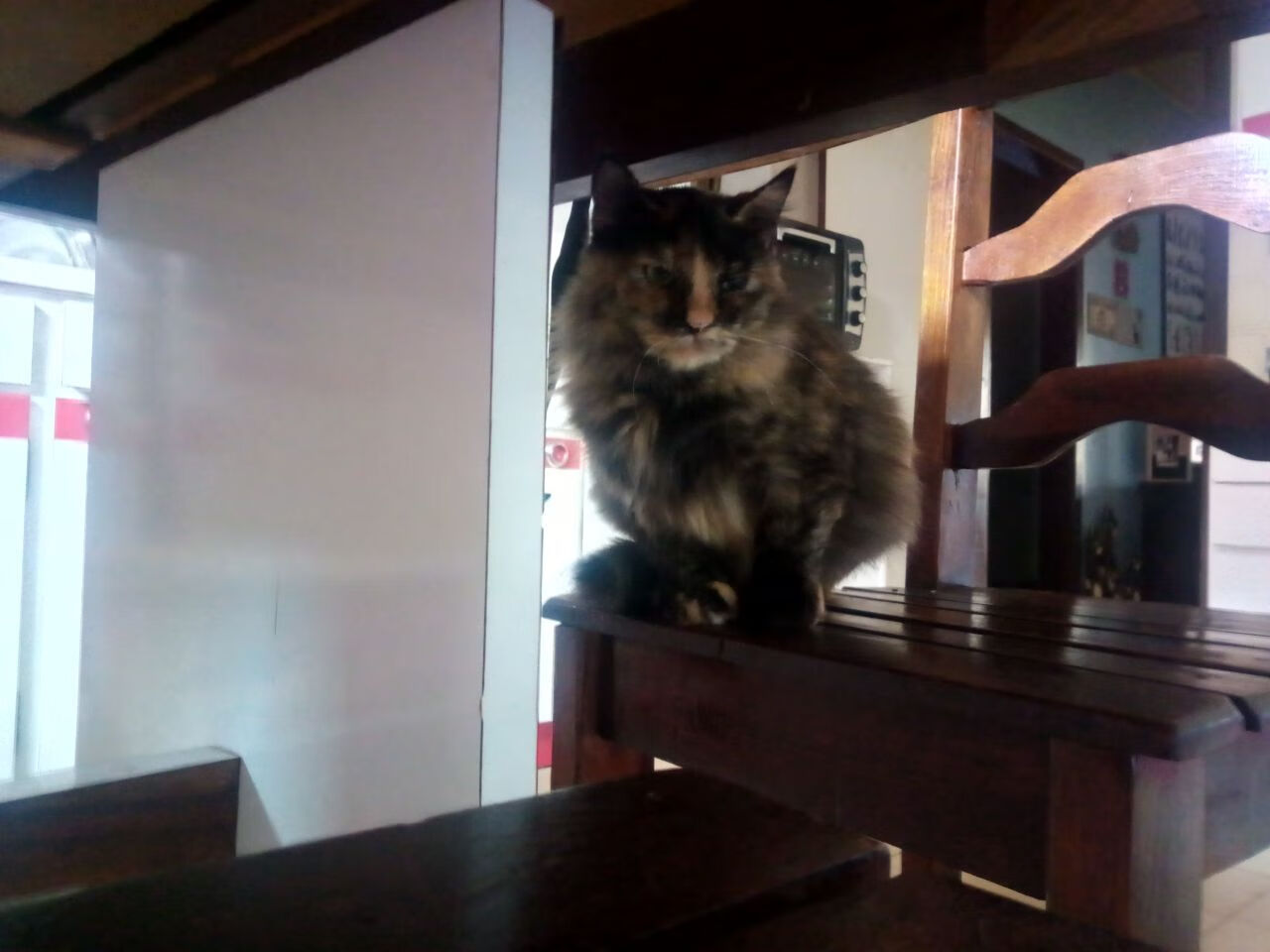 开云入口-德国媒体：我们低估了塞内加尔的雪地适应能力，塞内加尔最高温度,和最低温度