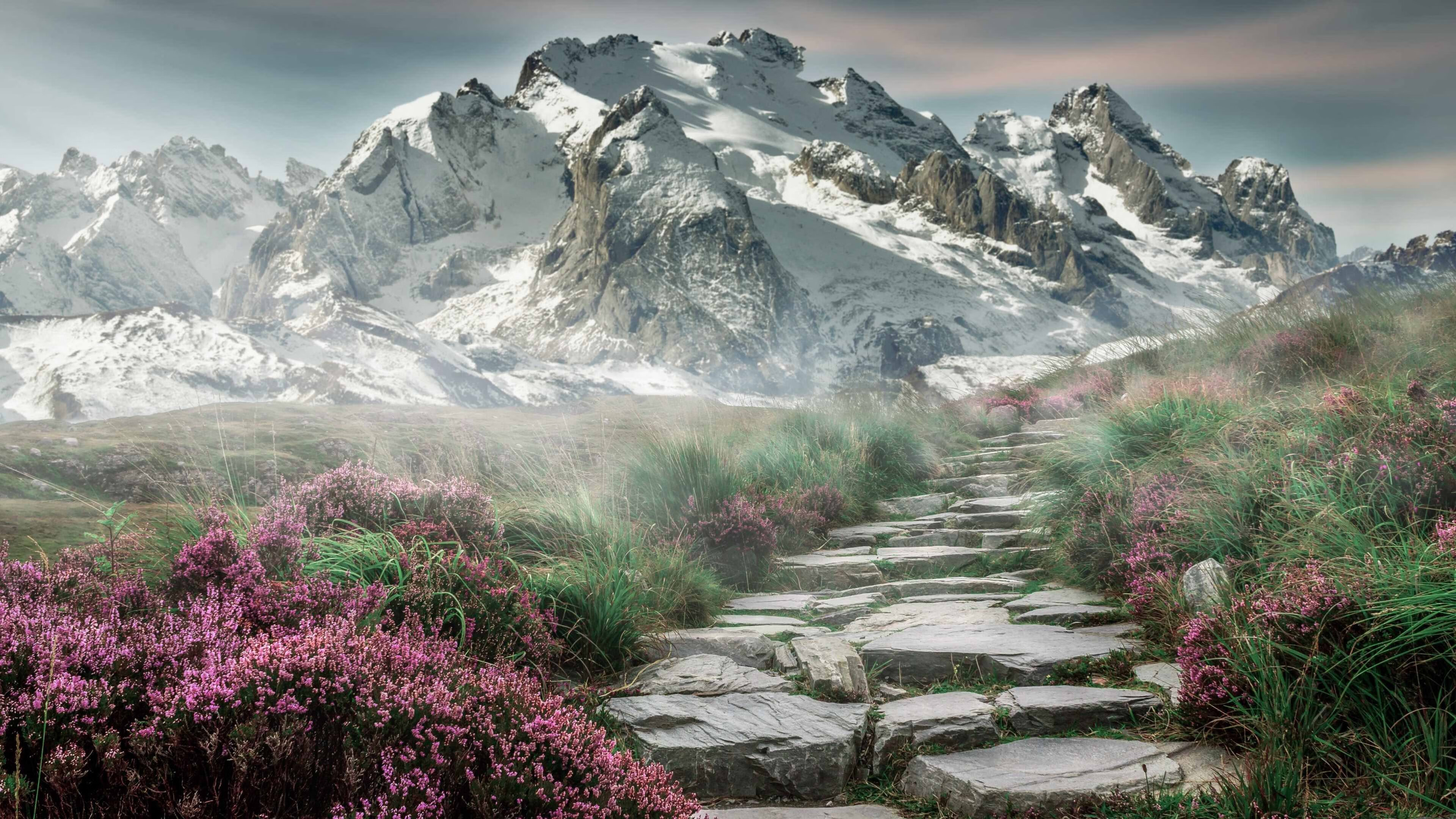 赛后记:运动员的心情与收获,赛后记_运动员的心情与收获怎么写