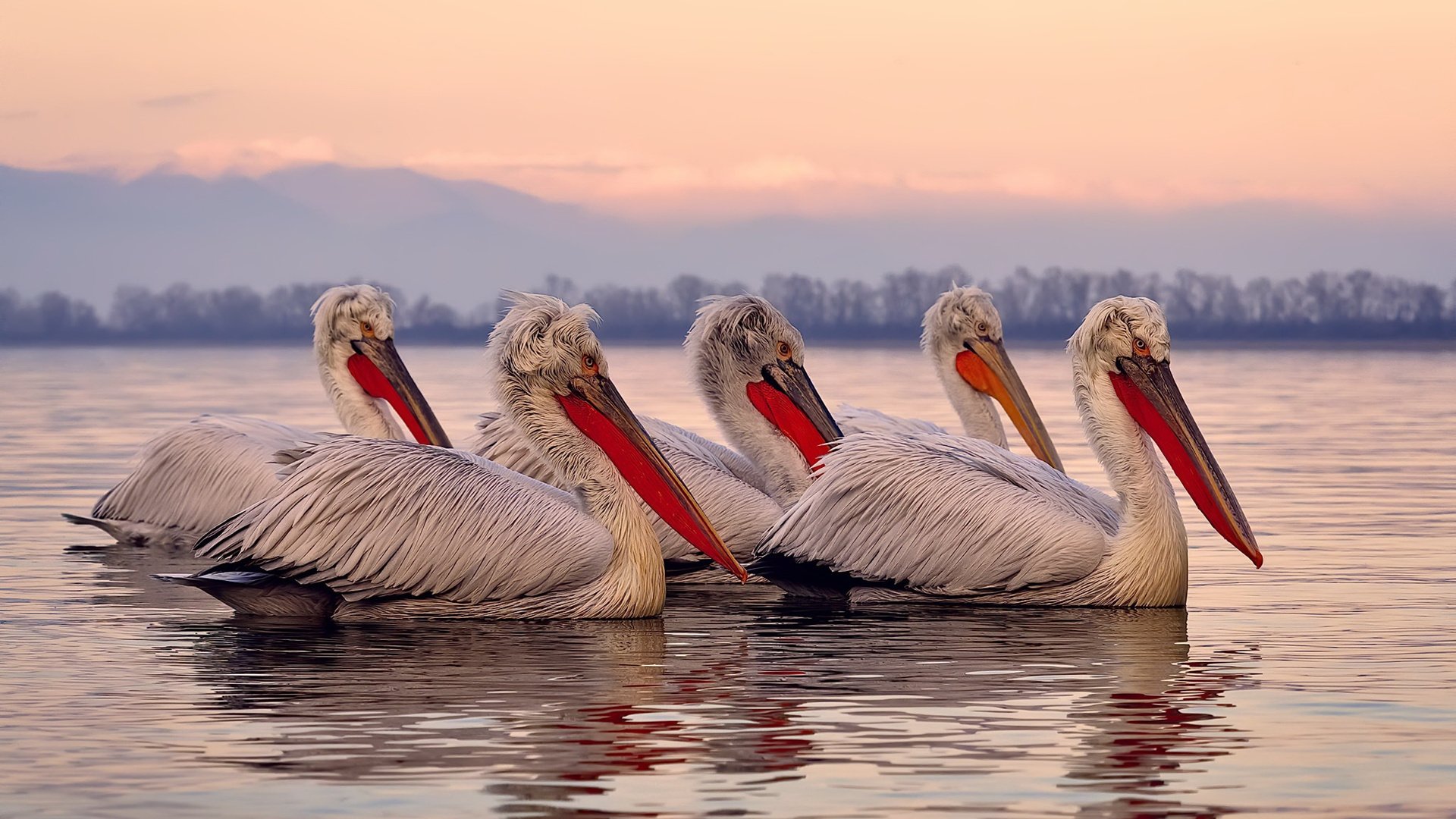 逆境中的“超级战士”:伤愈复出引领球队反弹