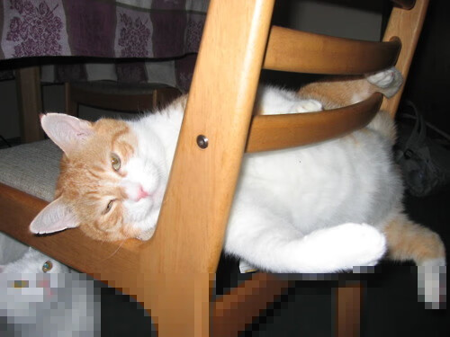 CBA球员集训备战,展现团队合作精神,cba球员训练日程