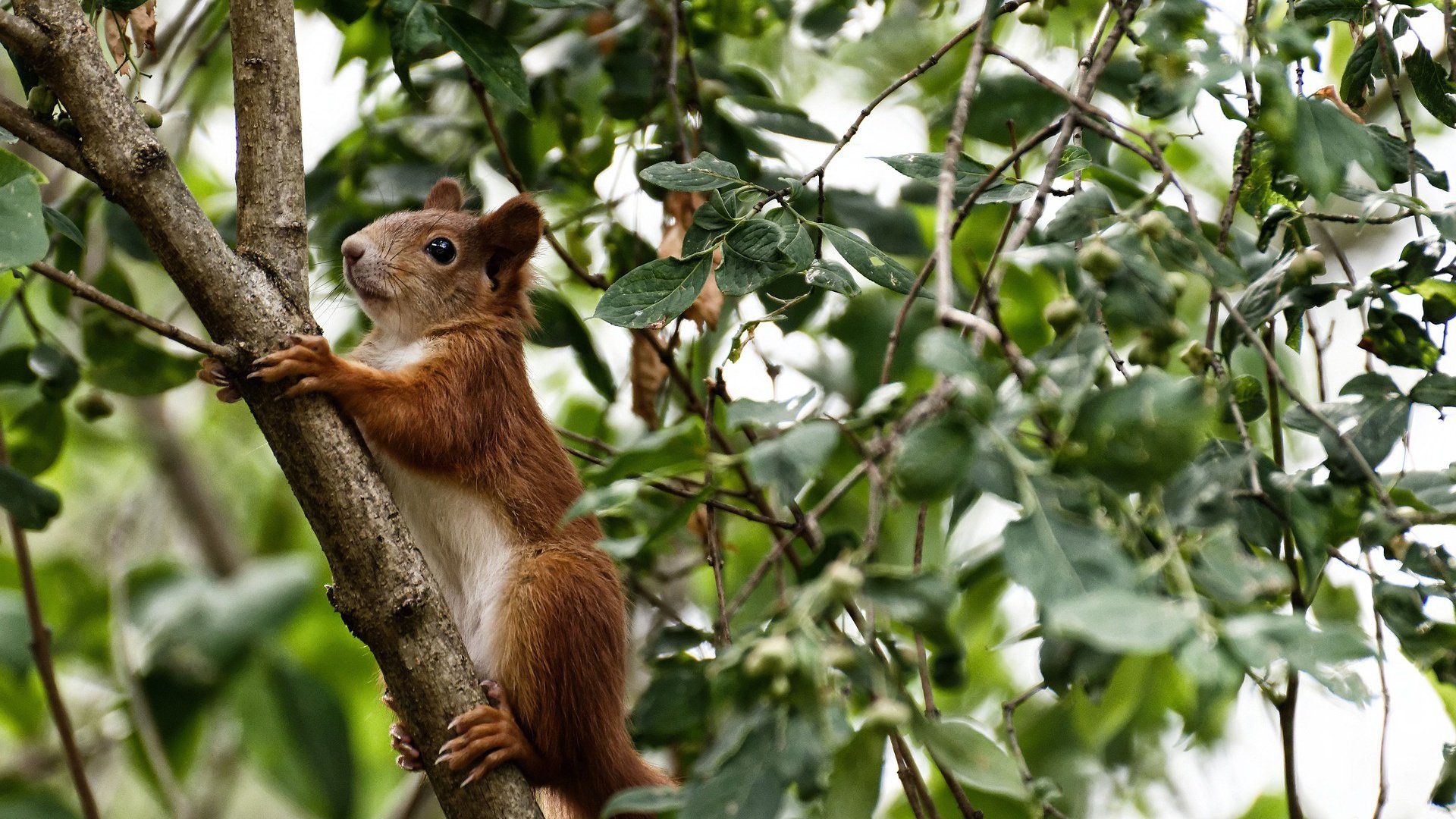 尤尼克斯战术调整显成效,防守端提升明显,尤尼克斯攻防兼备