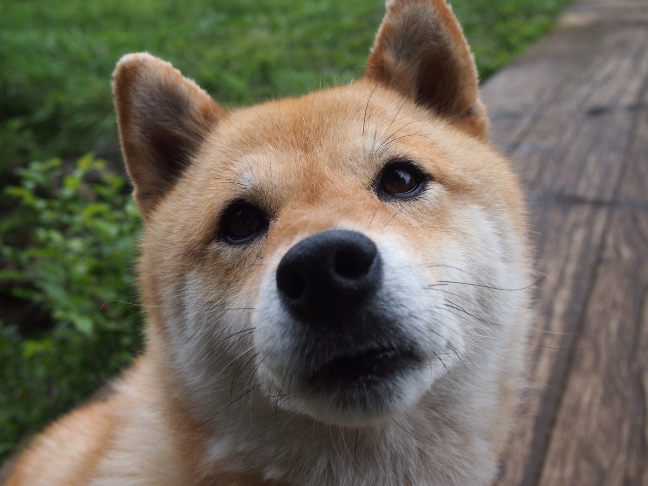 开云官方网页登录-意甲球队宣布将举办球迷互动日活动，意甲球迷数量排名