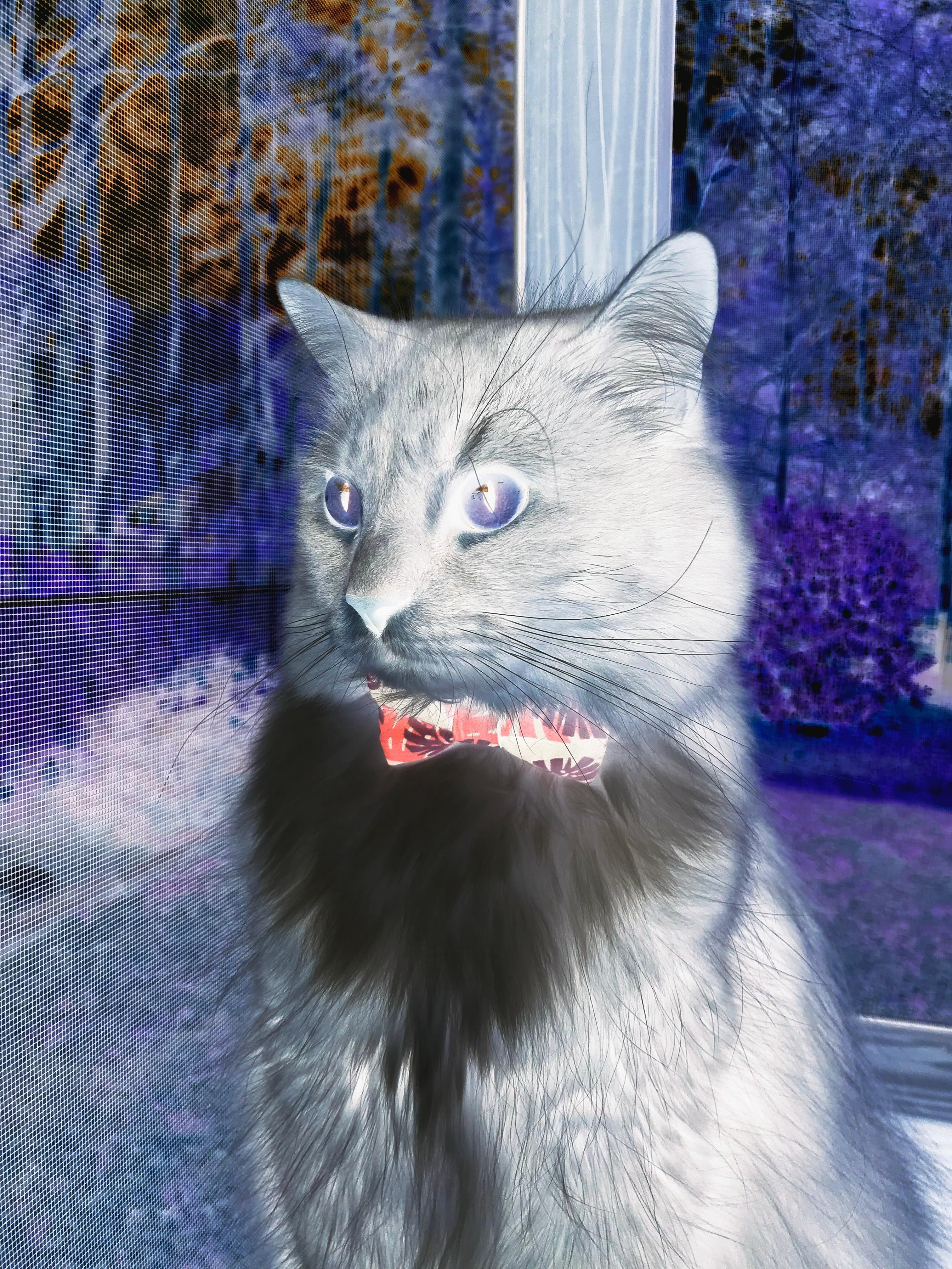 新赛季注定精彩,球员表现备受瞩目,新赛季_