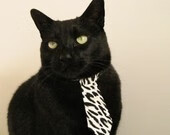 维达德卡萨布兰卡与阿尔阿赫利体育俱乐部达成合作协议,达维德卡拉布里亚