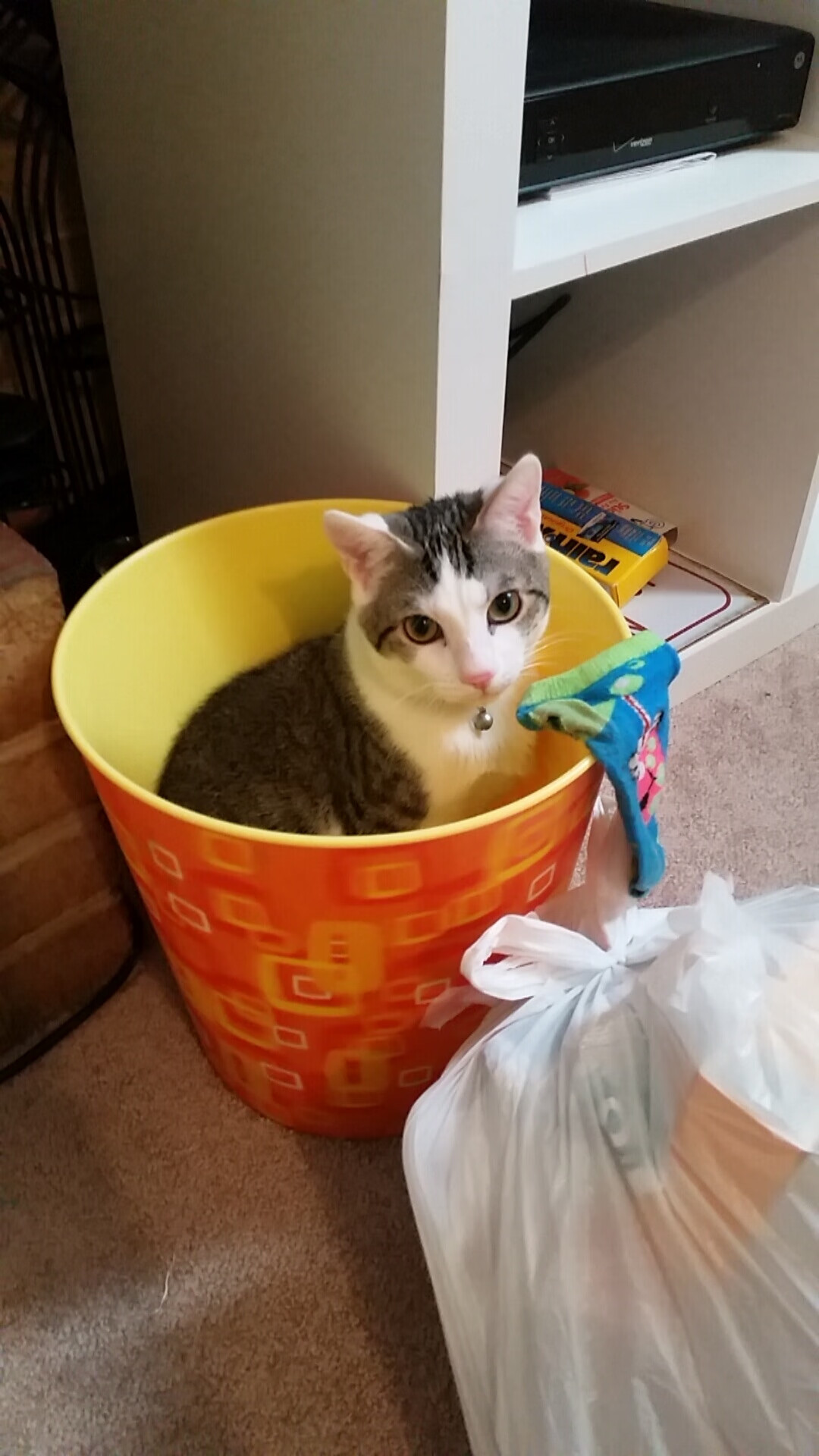 阿森纳签下经验丰富的后卫,增强防线深度,阿森纳有什么历史后卫