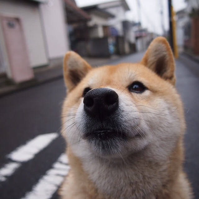 开云中国大陆-英超高强度赛程下球员运动损伤预防策略探索，英超最严重的受伤