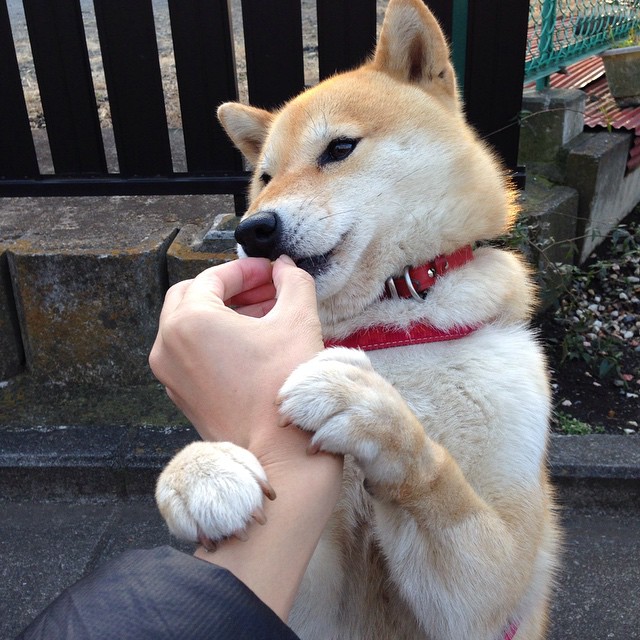 中国女篮展现良好团队文化 精神面貌积极健康,中国女蓝精神