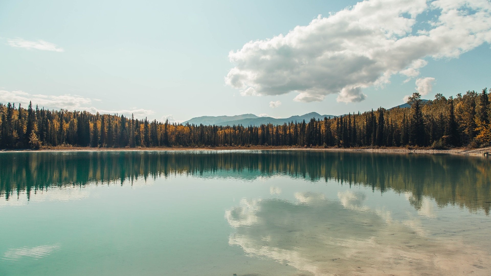 中国女篮连续夺冠 目标更进一步,中国女篮夺冠概率
