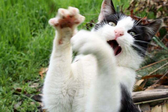 开云-中国男篮球员展现良好职业态度 训练全情投入，中国男篮训练情况