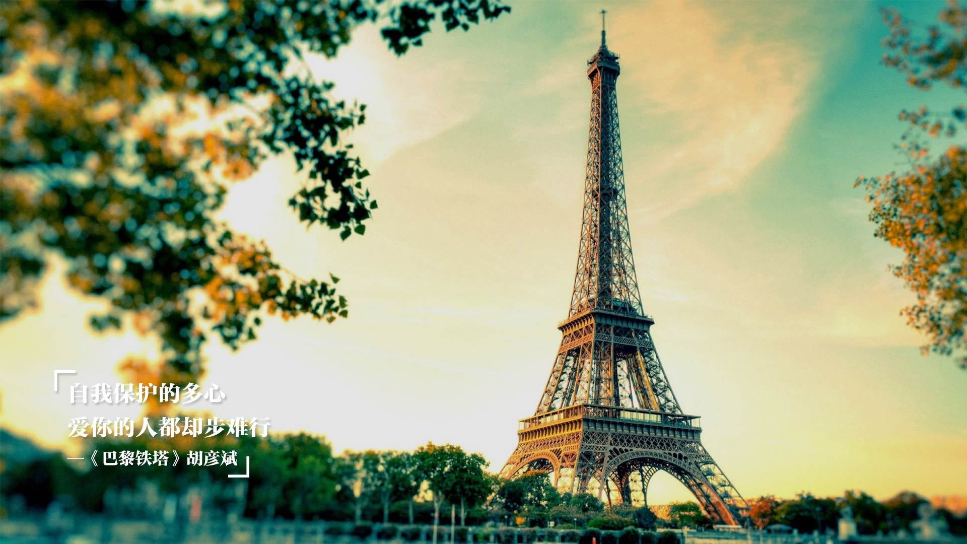 开云·体育官网-亚冠赛场出现多项纪录级精彩进球，亚冠冠军赛