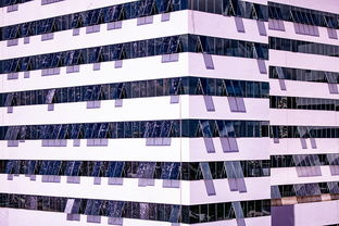 开云官方网页登录-体育新闻中心建设体育数字内容版权保护体系，体育数据新闻