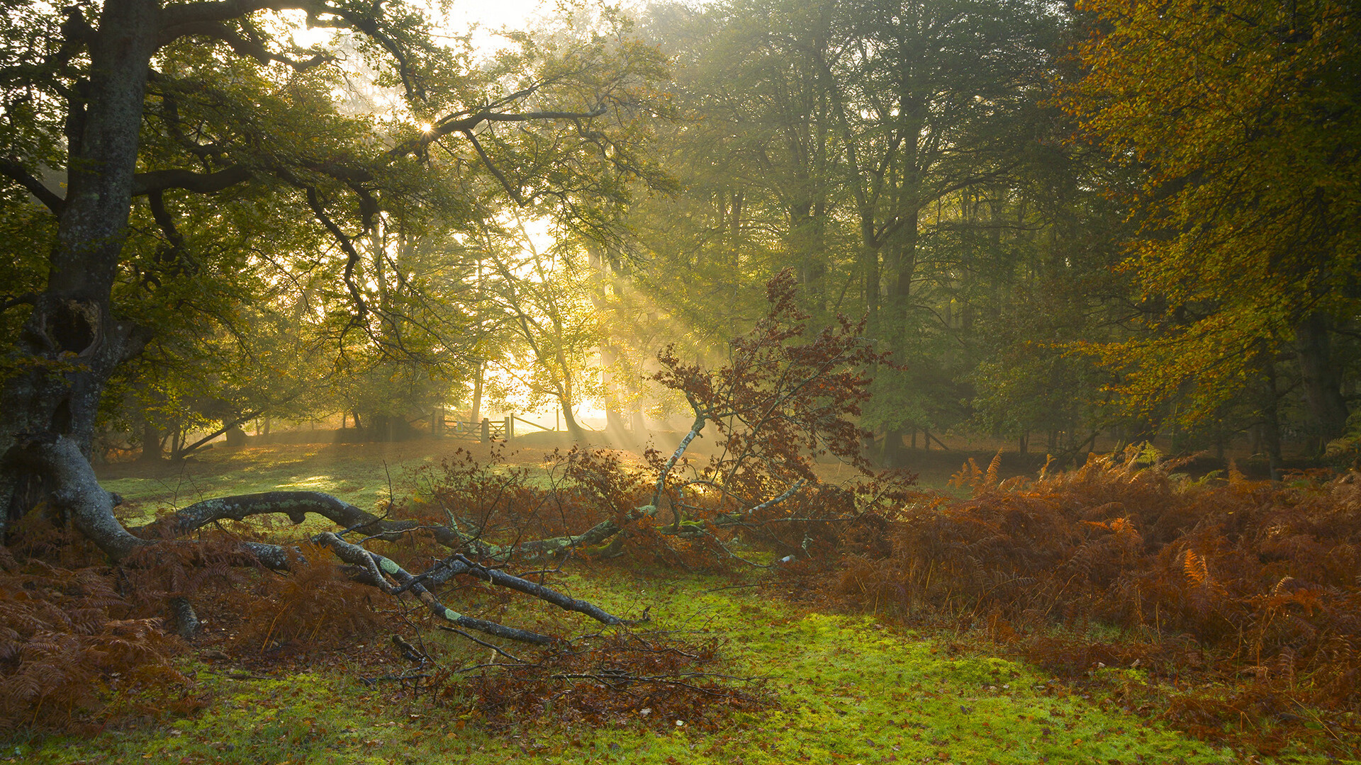 KAIYUN 中国大陆-意甲团队合作：细节决定胜负！，意甲球队关系图