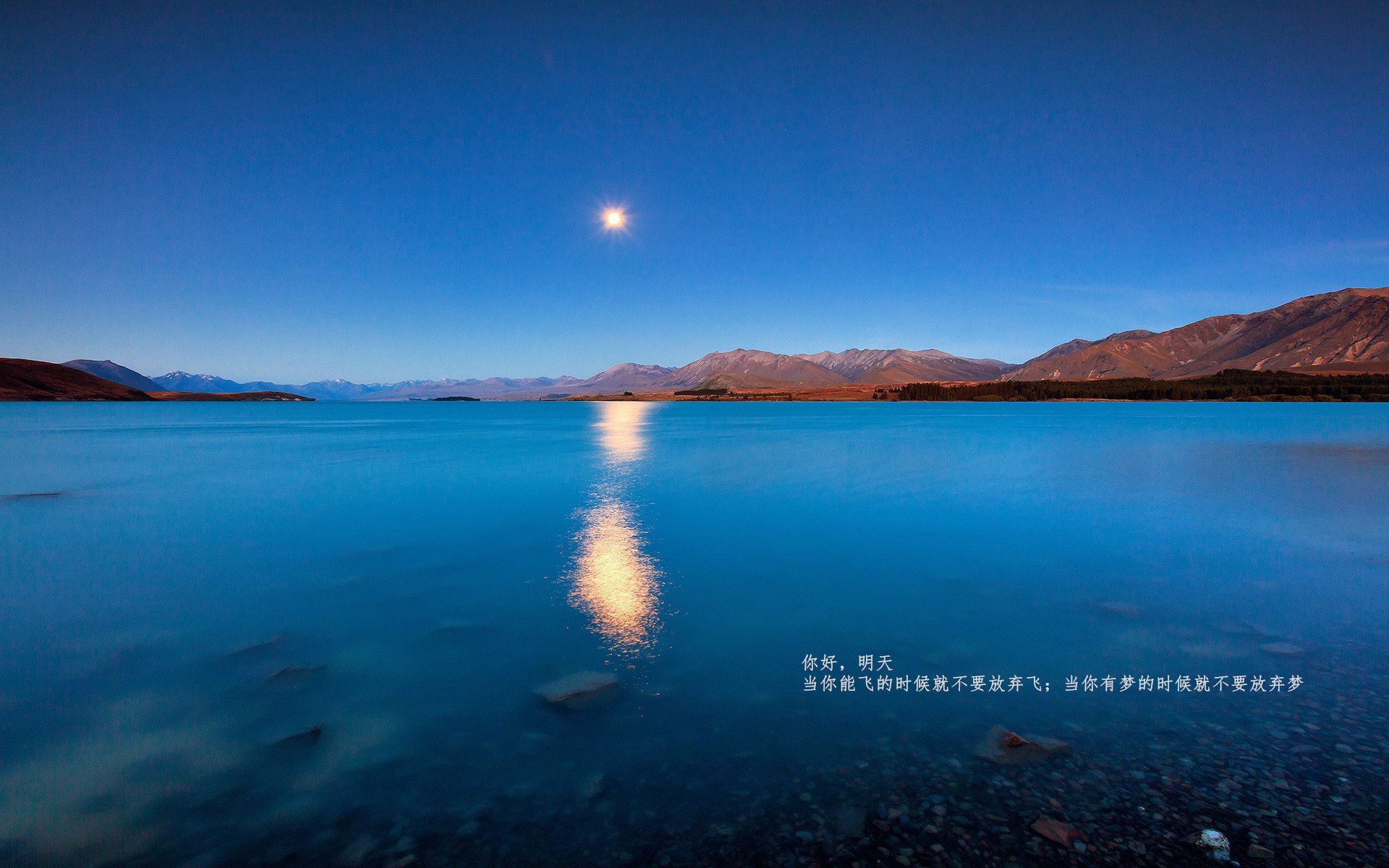 蛙泳冲刺摩纳哥节奏精准,蛙泳竞速视频